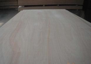 供應(yīng)盈康木業(yè)供應(yīng)E1級5厘環(huán)保膠合板_建筑建材_世界工廠網(wǎng)中國產(chǎn)品信息庫